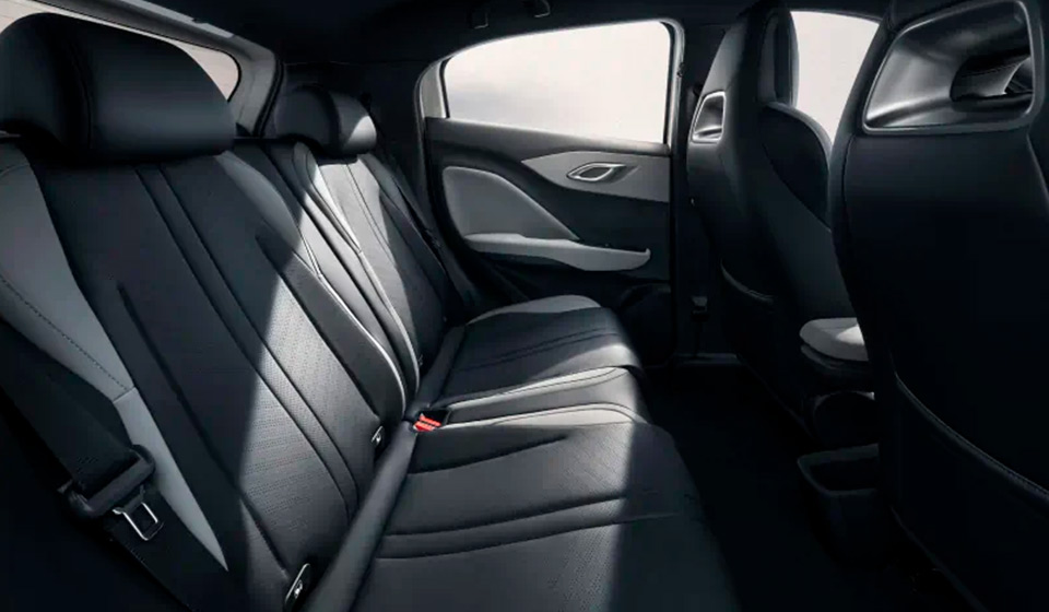 Interior seating and space of the BYD Dolphin Surf