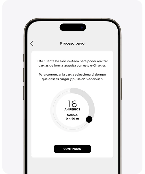 Pantalla Proceso pago con el selector del tiempo de carga