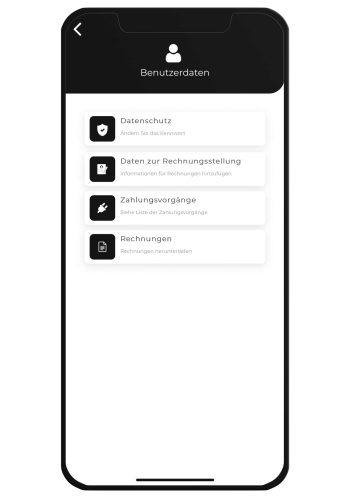 V2C Payments Zahlungsantrag